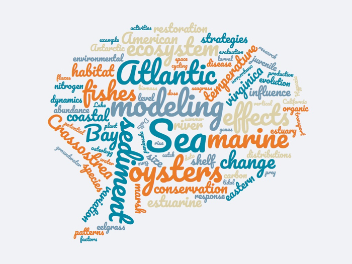 VIMS 2016 word cloud