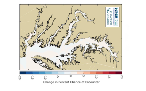 CBEFS Bay Nettle Forecast