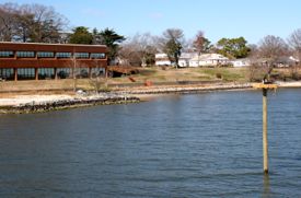 VIMS' new osprey nesting platform with Watermens Hall in the background.