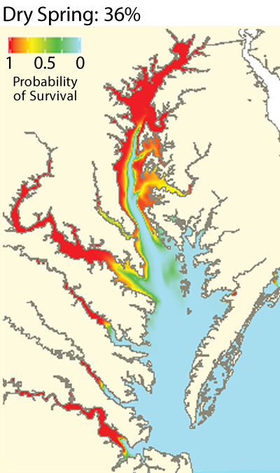 Surface Salinity