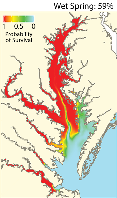 Chesapeake Bay Salinity