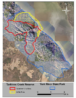 Taskinas Creek reserve site