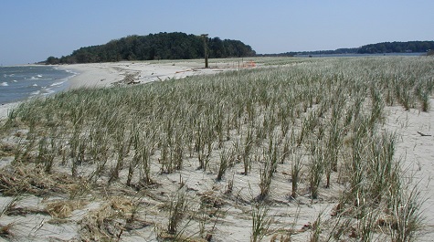 Sandy Dredged Material