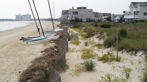 Dune Fence