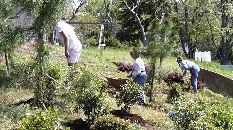 Riparian Buffer Enhancement