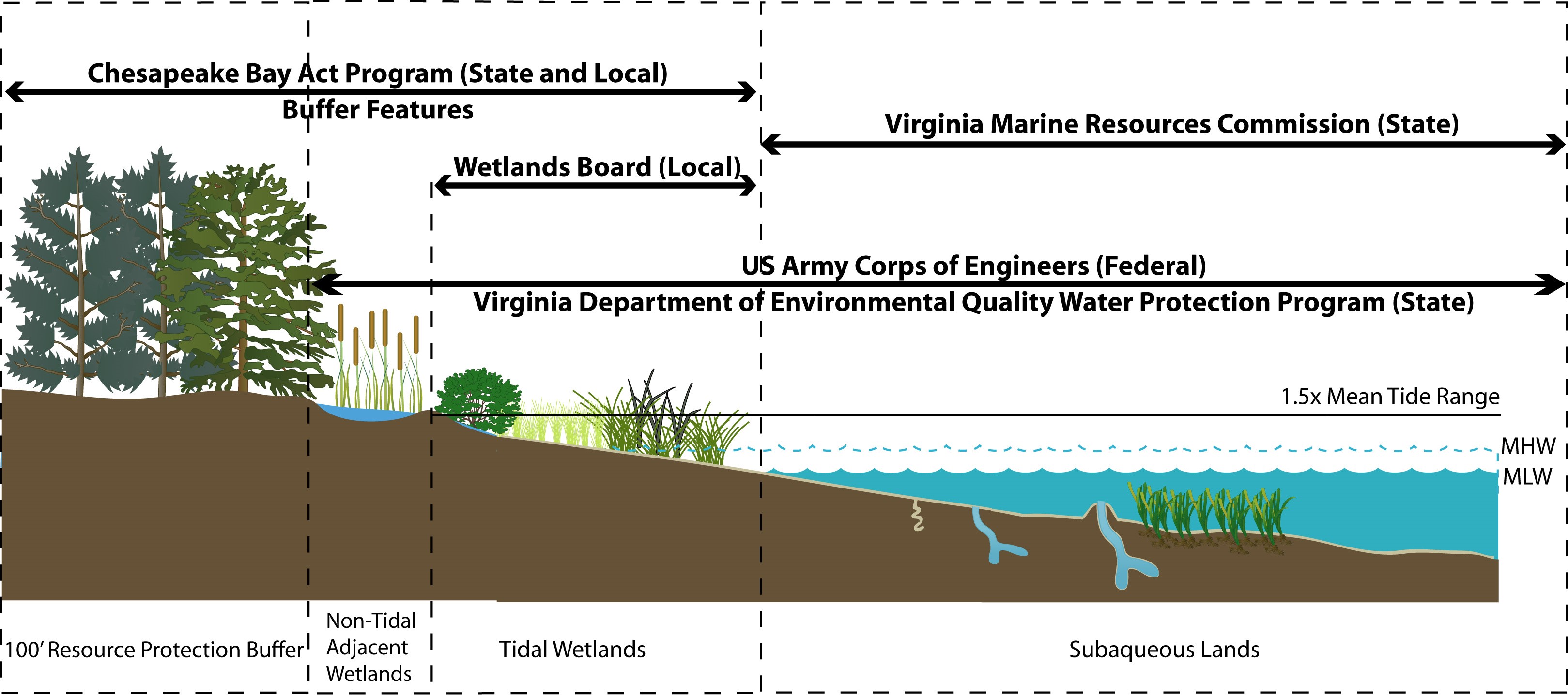 Virginia Shorezone Jurisdictions - Click to enlarge 