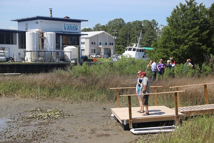 floating pier