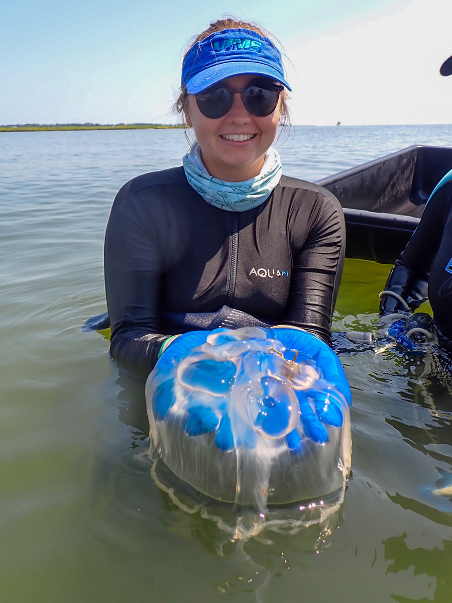 Caitlin Sughrue holds up a jellyfish she encountered during field work. Photo provided by Caitlin Sughrue.