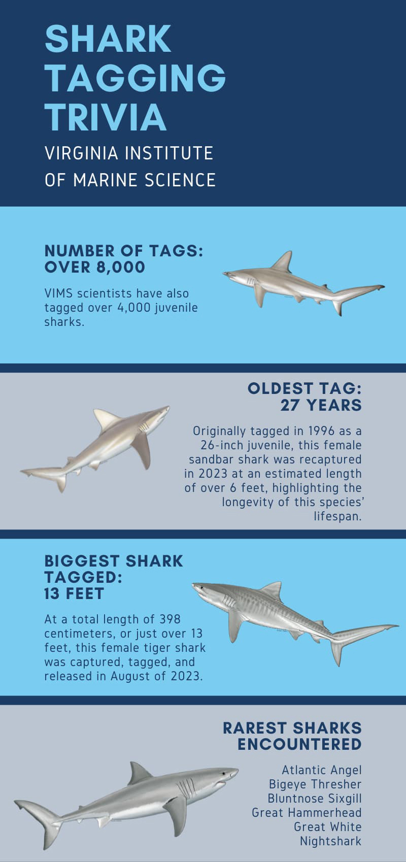 VIMS Shark Tagging Trivia