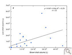 Brown shell volume (L) versus live shell volume (L) in the York River (region F).