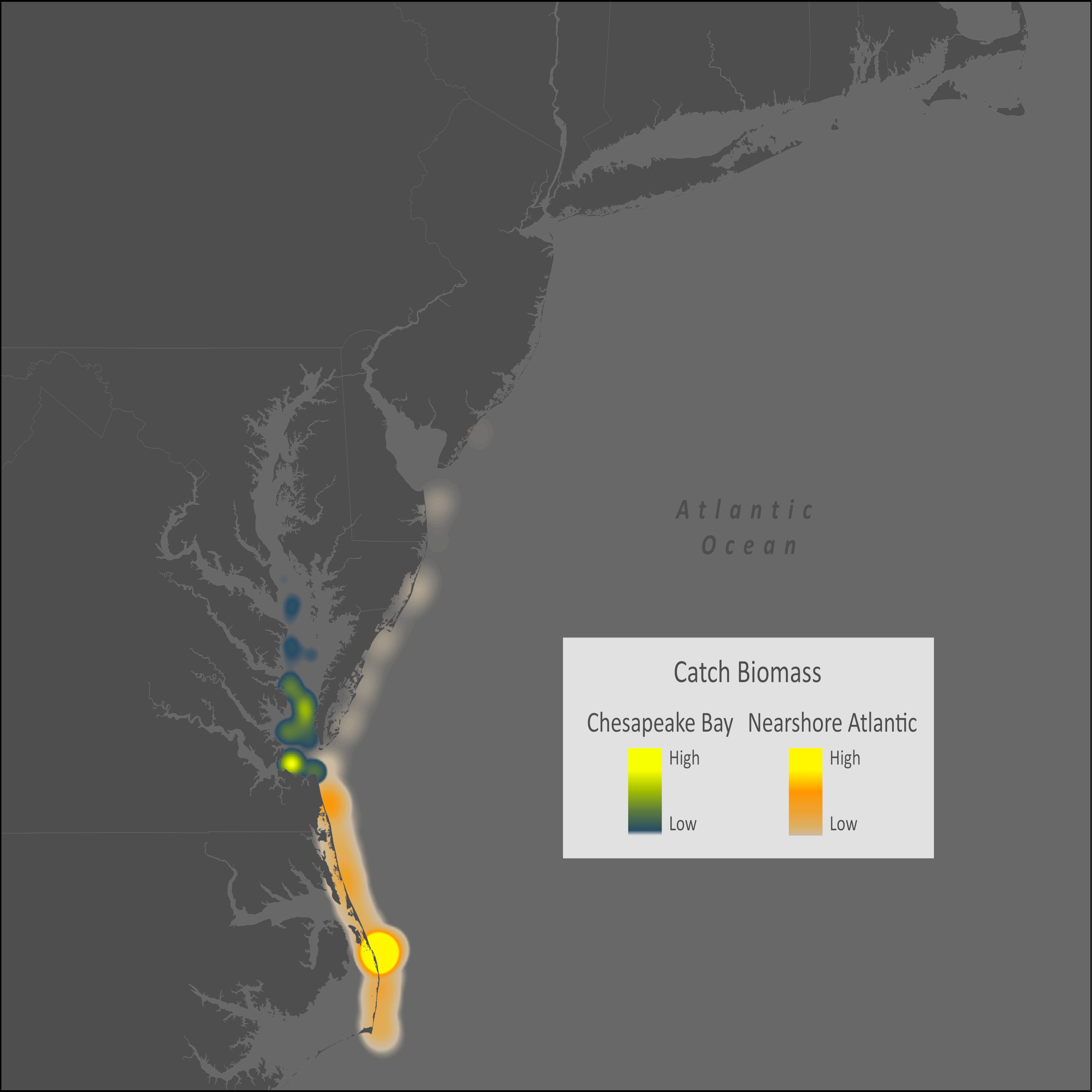 Atlantic Cutlassfish Distribution