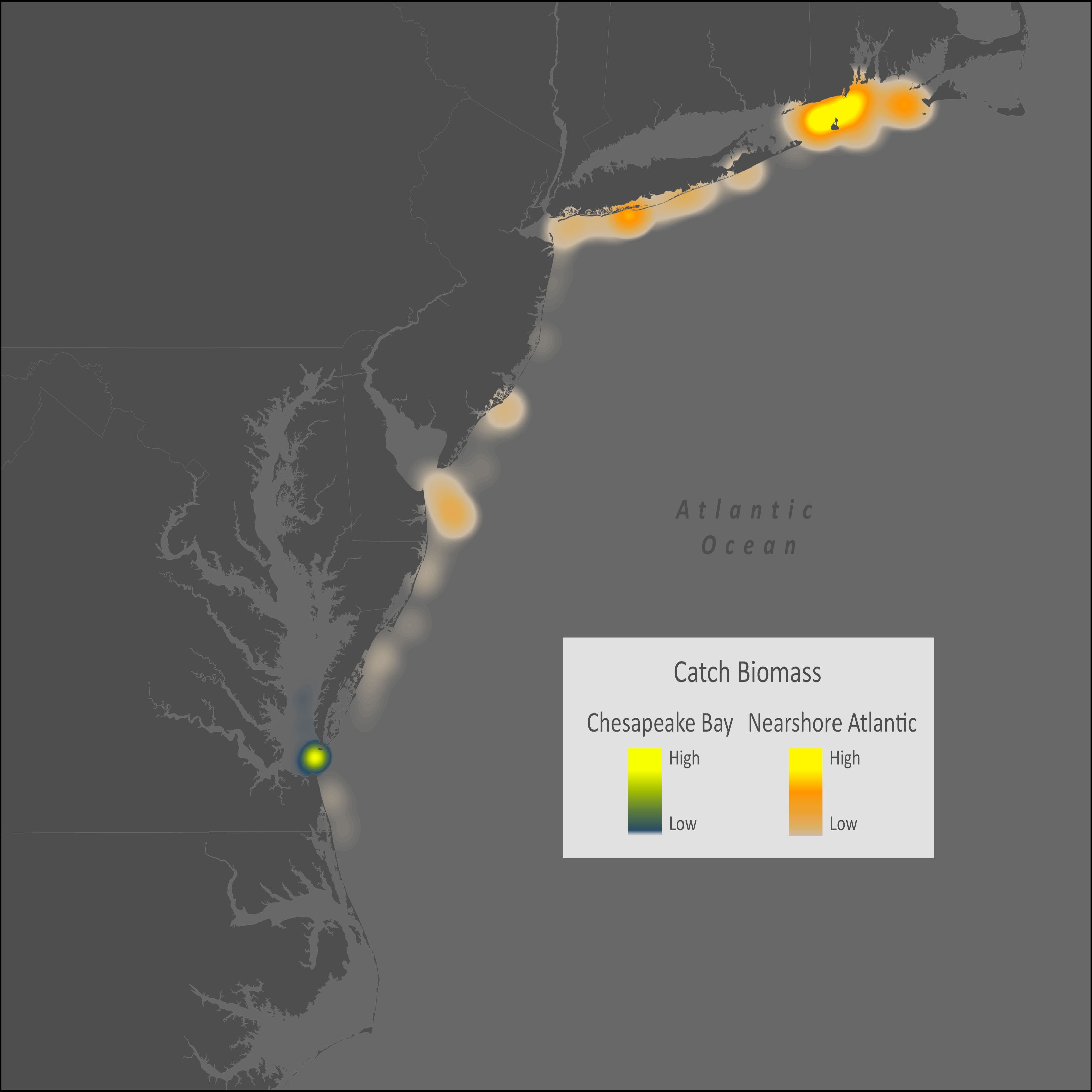 Atlantic Rock Crab Distribution