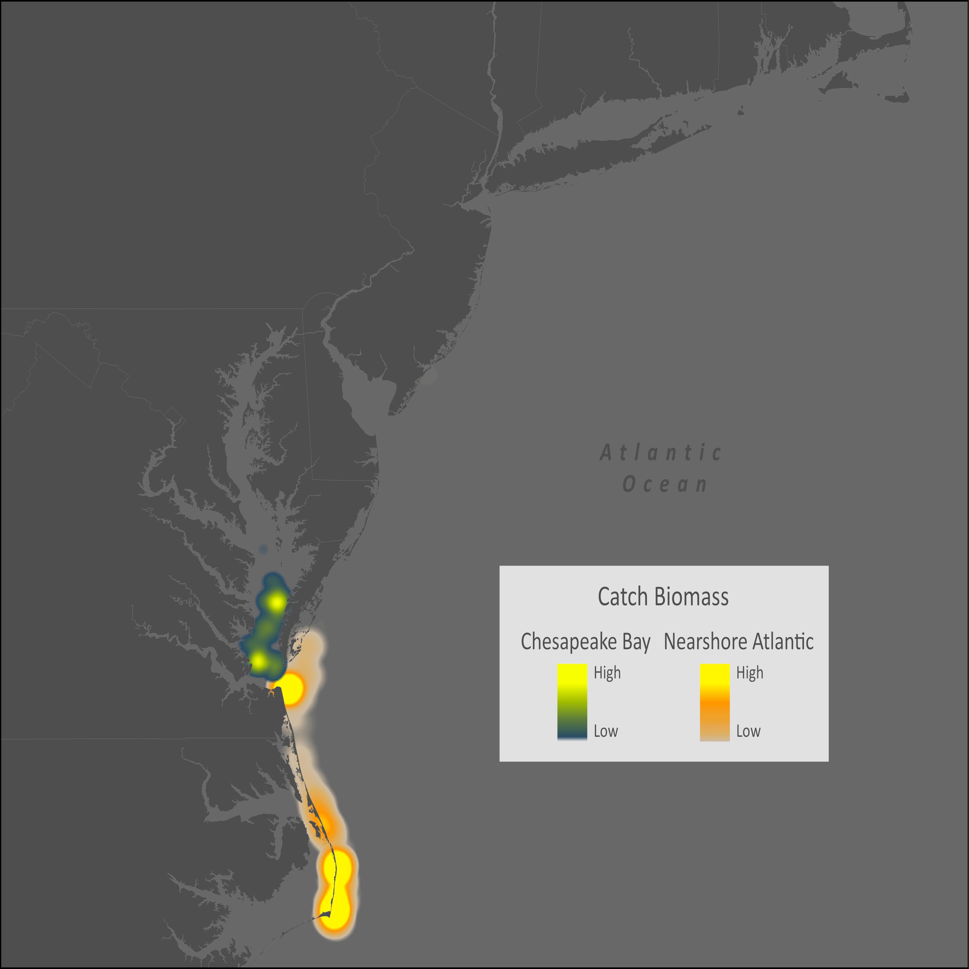 Atlantic Thread Herring Distribution