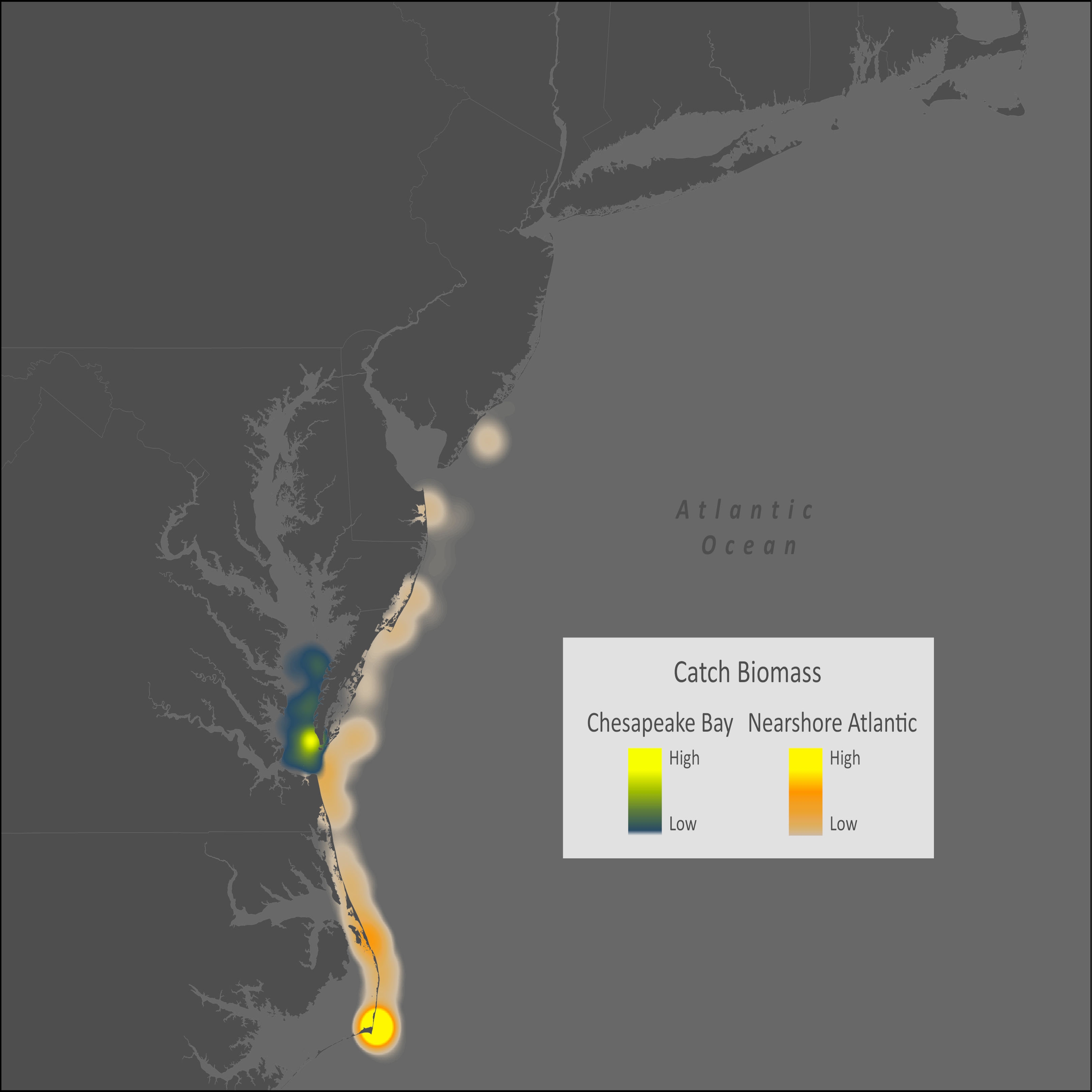 Bluntnose Stingray Distribution