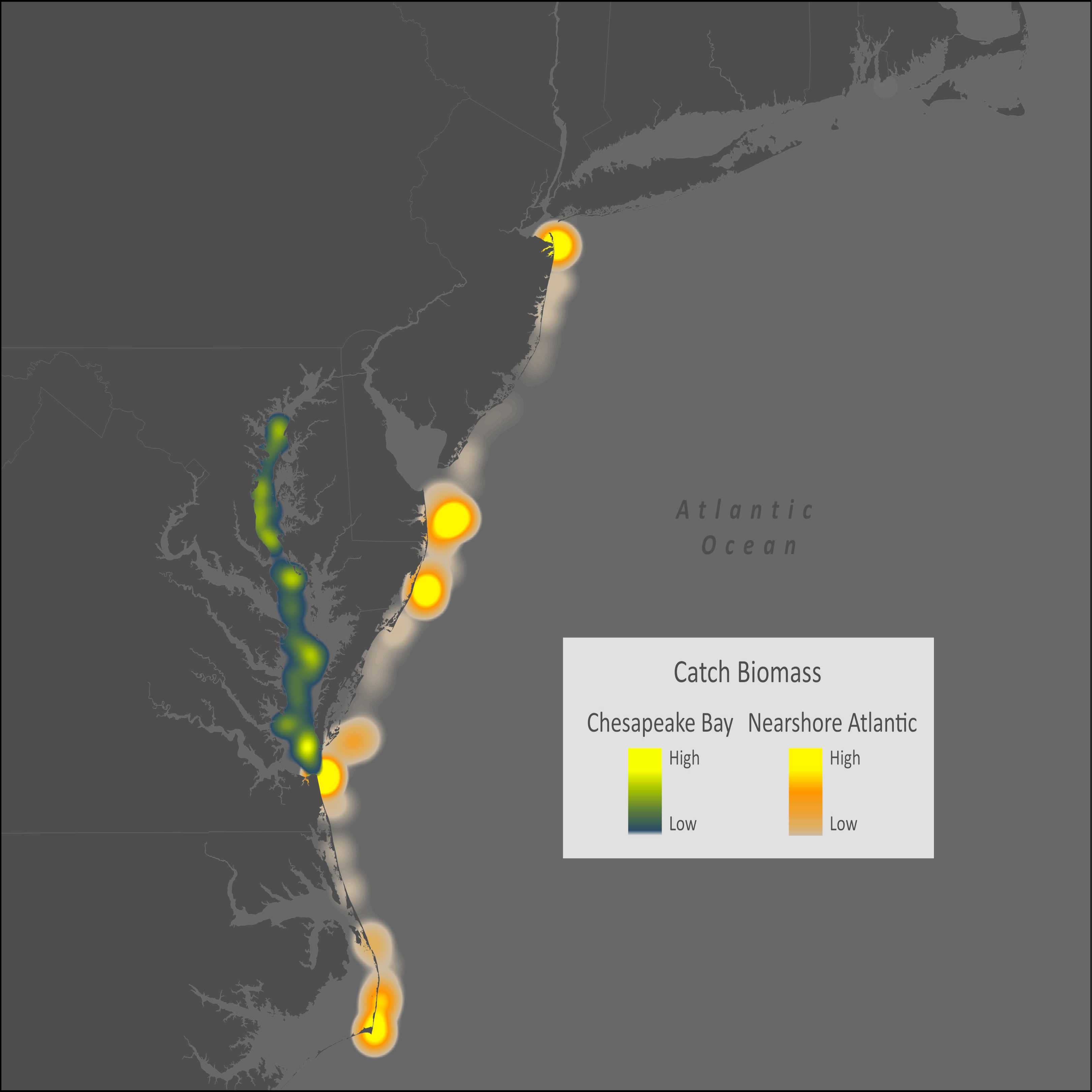 Cownose Stingray Distribution