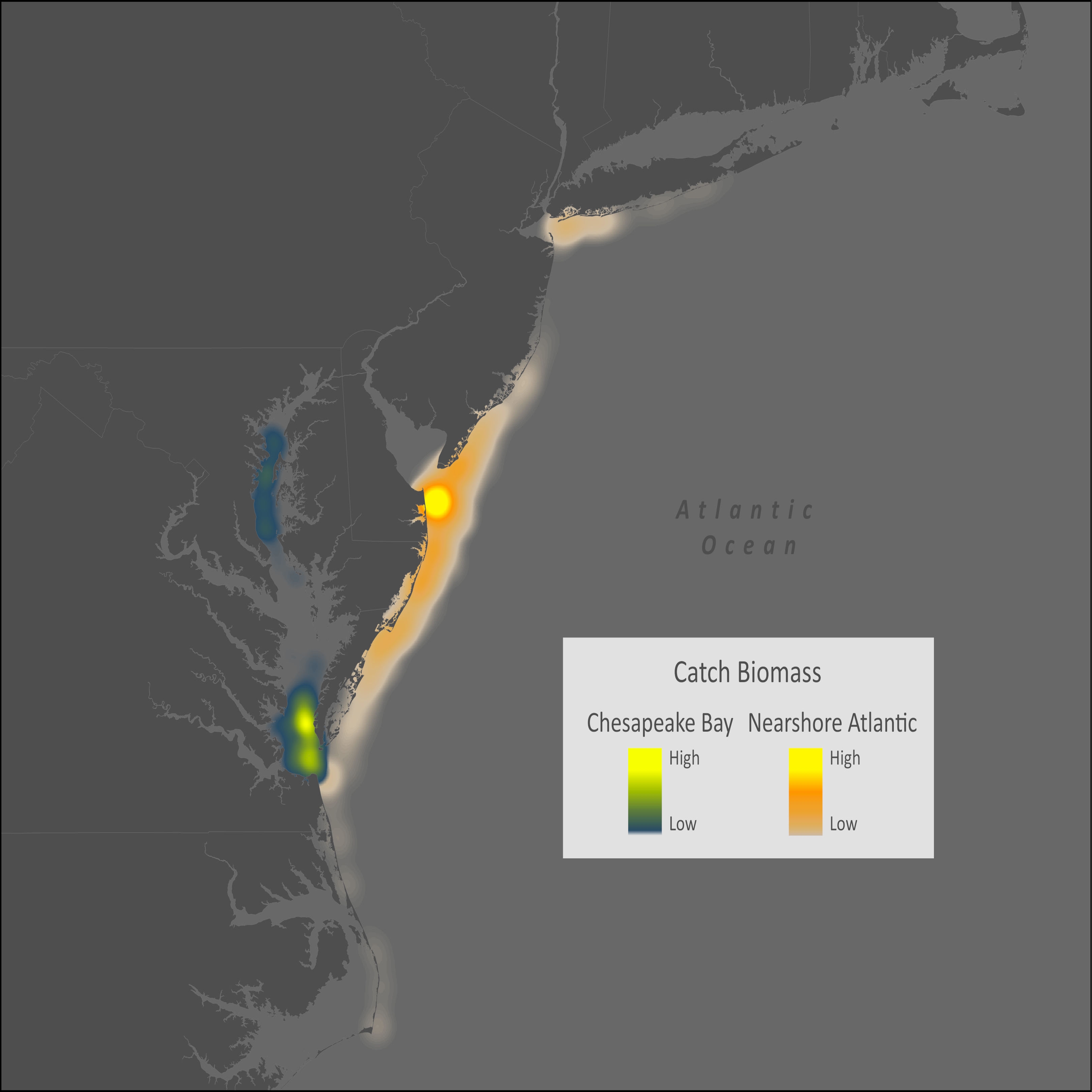 Horseshoe Crab Distribution