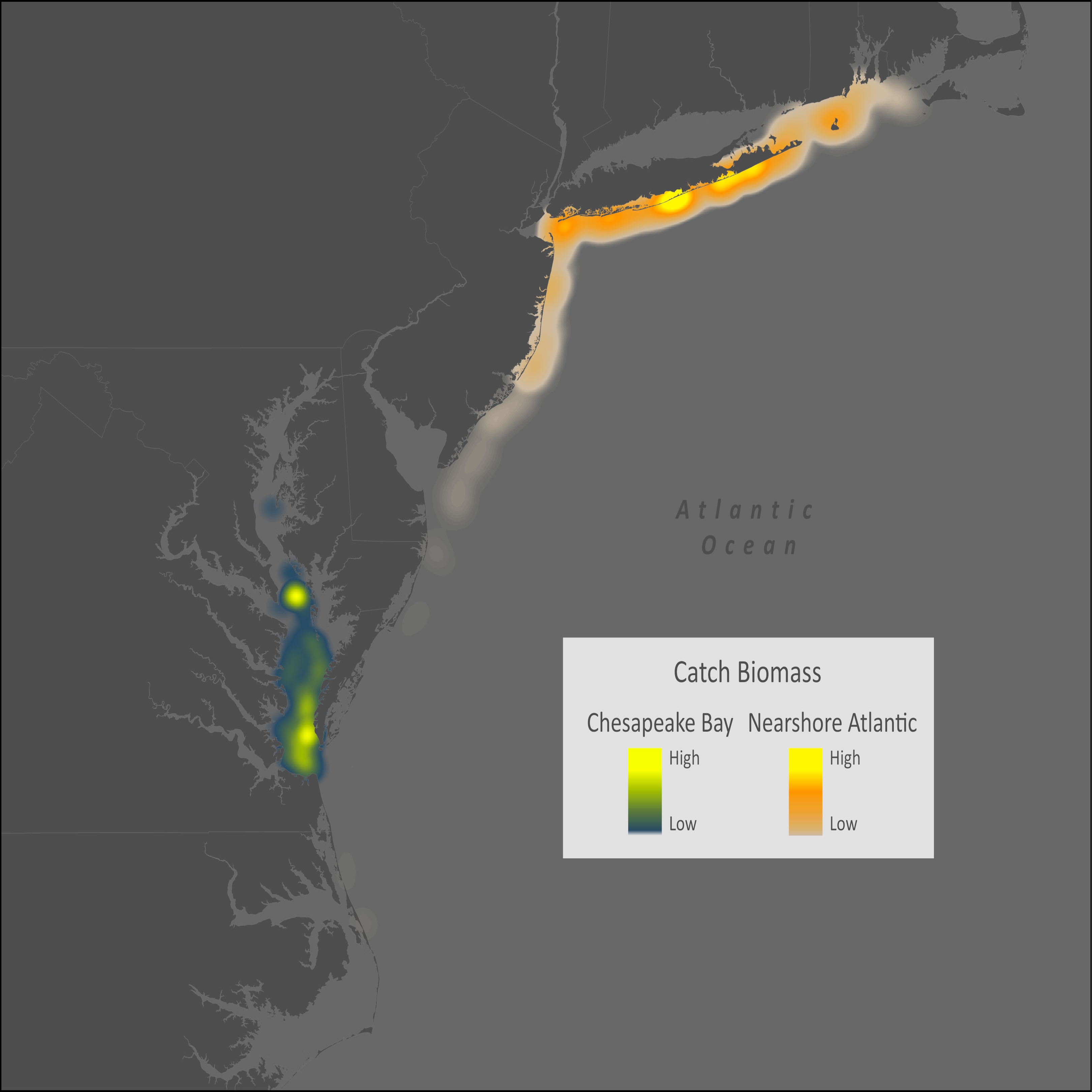 Striped Searobin Distribution