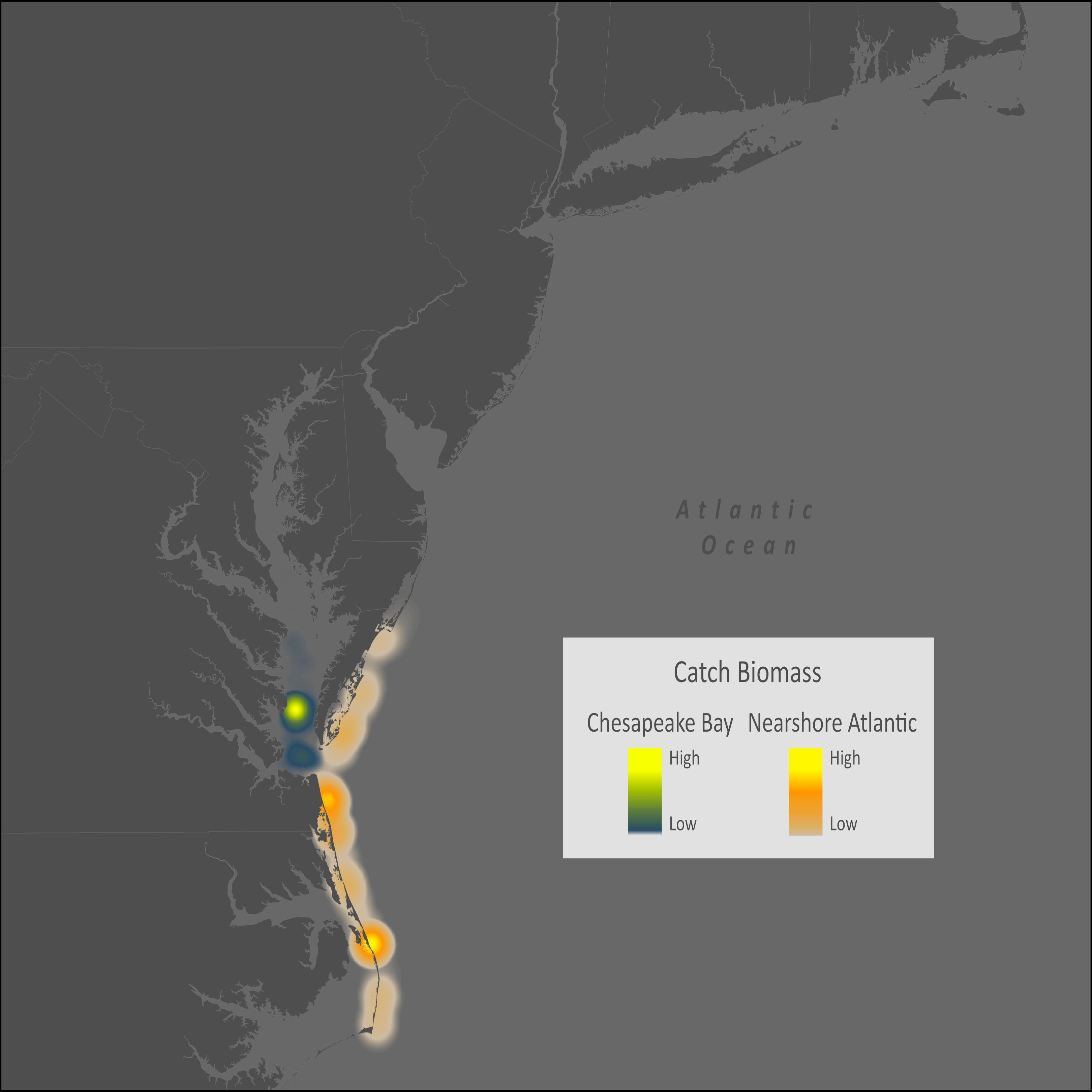 White Shrimp Distribution